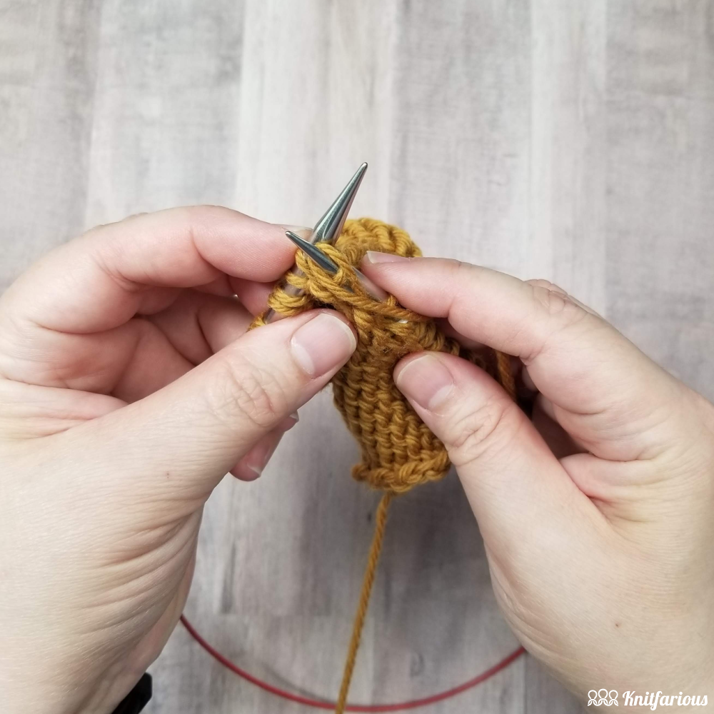 when you purl through the back loop, you still wrap the yarn around the needle as you would for a regular purl stitch